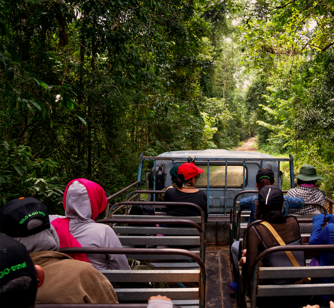 https://dailytravel.adventuresafariindia.com/67ff7e3b8771a.jpg